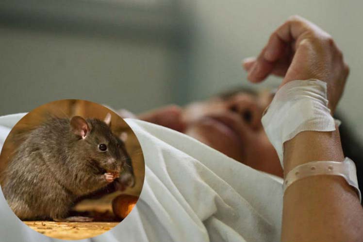 Esperan disminución de los aguaceros, alerta 18 provincias