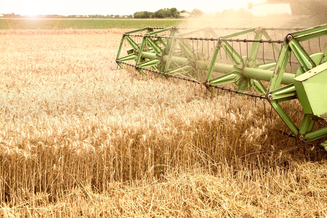 Agricultura anuncia riego selectivo de cultivo ante la sequía