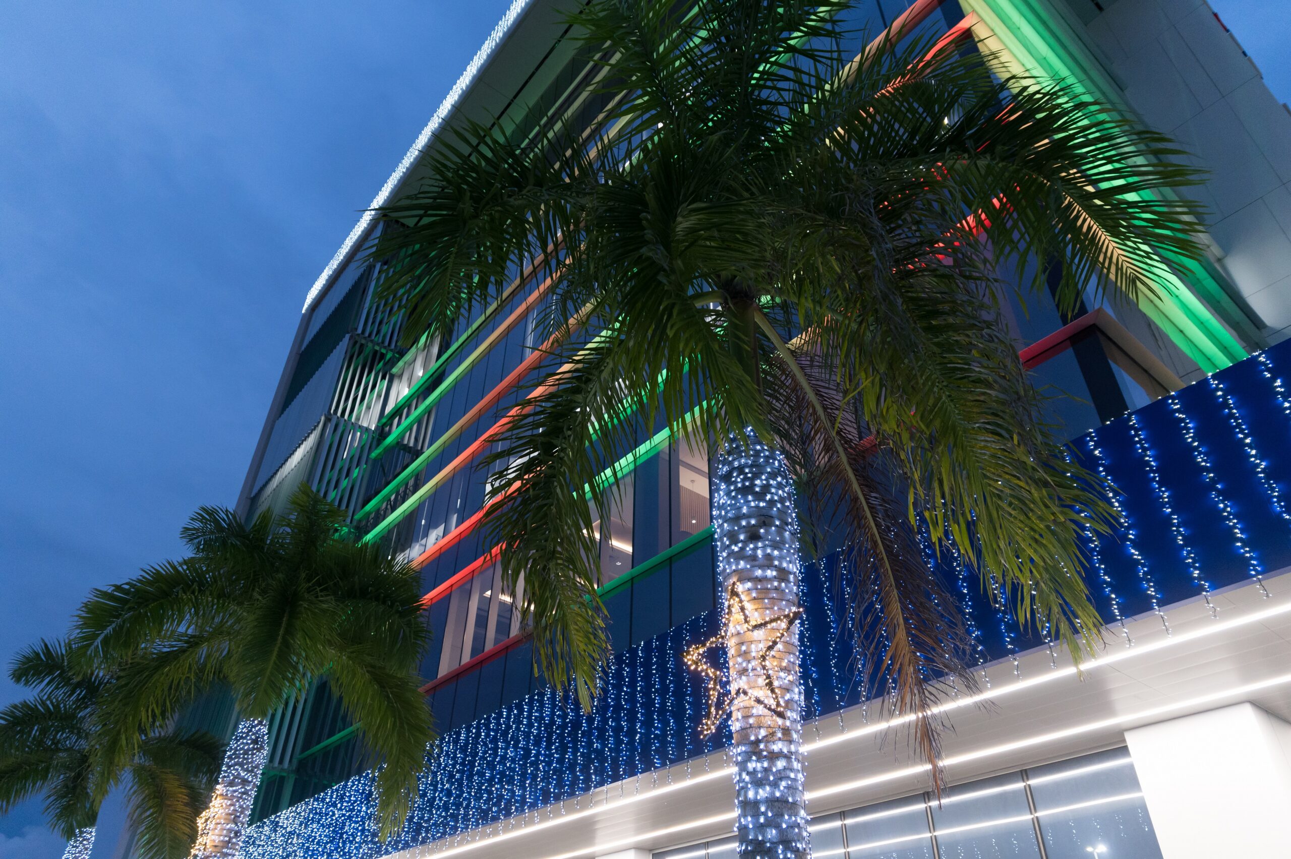 Asociación Cibao recibe la Navidad con el encendido de luces en su torre corporativa