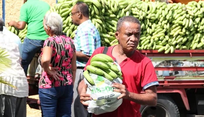 Gobierno compra más de 13 millones de guineos a Adobanano y los vende a peso a través del Inespre