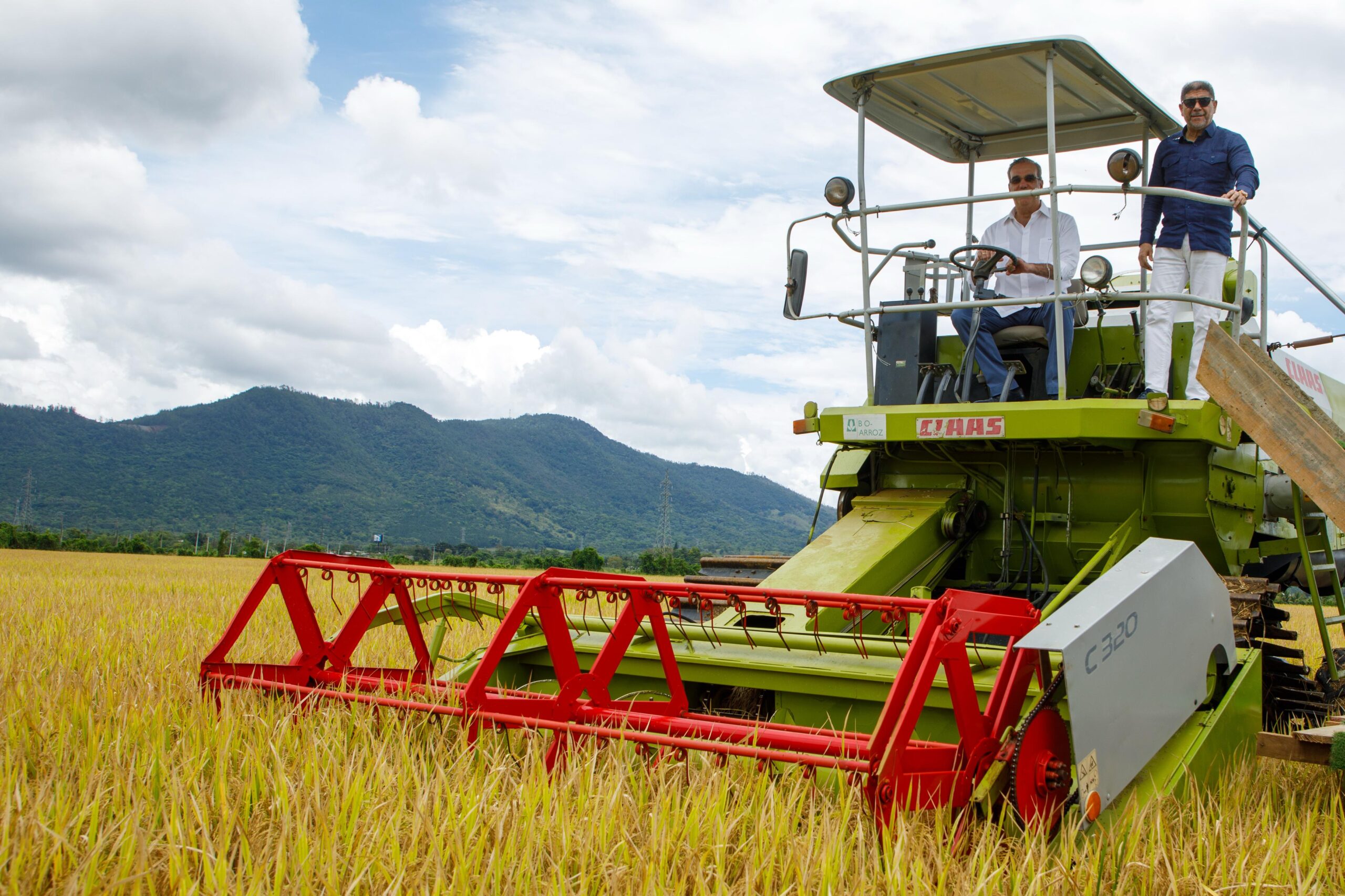 Presidente Abinader da inicio a la cosecha de arroz 2025: producción superará los 15 millones de quintales