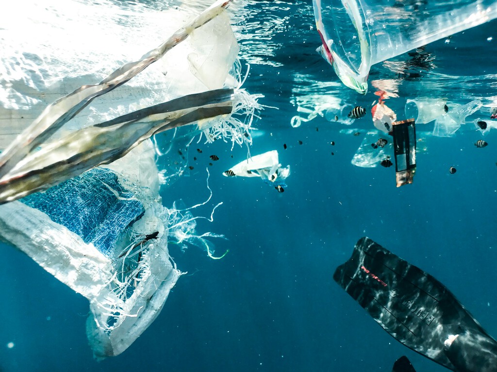 Joven de 18 años crea filtro que elimina microplásticos del agua al 96%: una solución innovadora