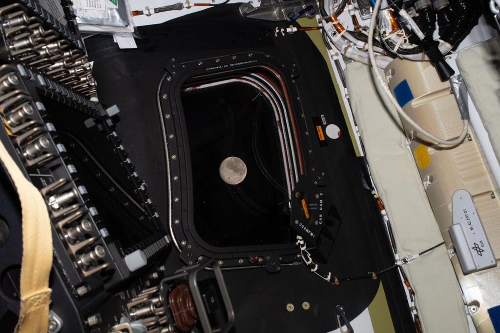 Artemis II se prepara para un hito histórico: cómo seguir su sobrevuelo lunar en vivo