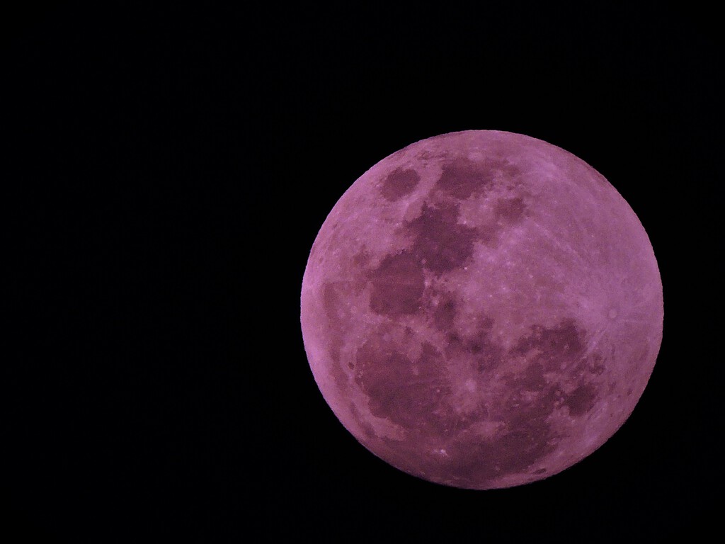 Descubre la verdad detrás de la Luna rosa: mitos y realidades