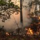 Dos grandes incendios avanzan en Francia y causen 20,000 evacuaciones