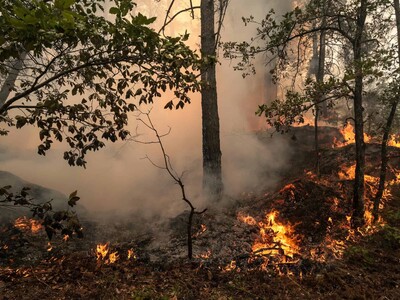 Dos grandes incendios avanzan en Francia y causen 20,000 evacuaciones