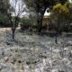 Incendio forestal en Madrid afecta a Aldea del Fresno y otras localida