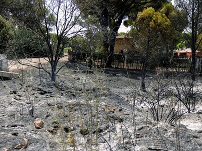 Incendio forestal en Madrid afecta a Aldea del Fresno y otras localida