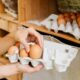 Retiran huevos por posible salmonela en EE. UU.