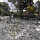Violentos incendios en el sur de Europa obligan la evacuación de miles