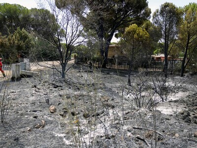Violentos incendios en el sur de Europa obligan la evacuación de miles