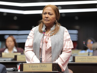 Ydania Doñé asume vocería del PLD atacando al Gobierno