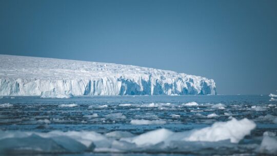 60 millones de nidos bajo el hielo de la Antártida: la verdad tras la "ciudad" de peces más grande del mundo