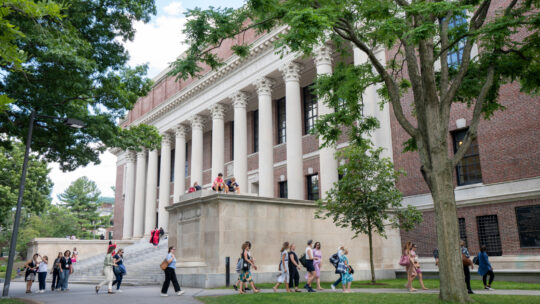 Capellán de Harvard: 80 personas buscan ingresar a la Iglesia Católica, un récord histórico