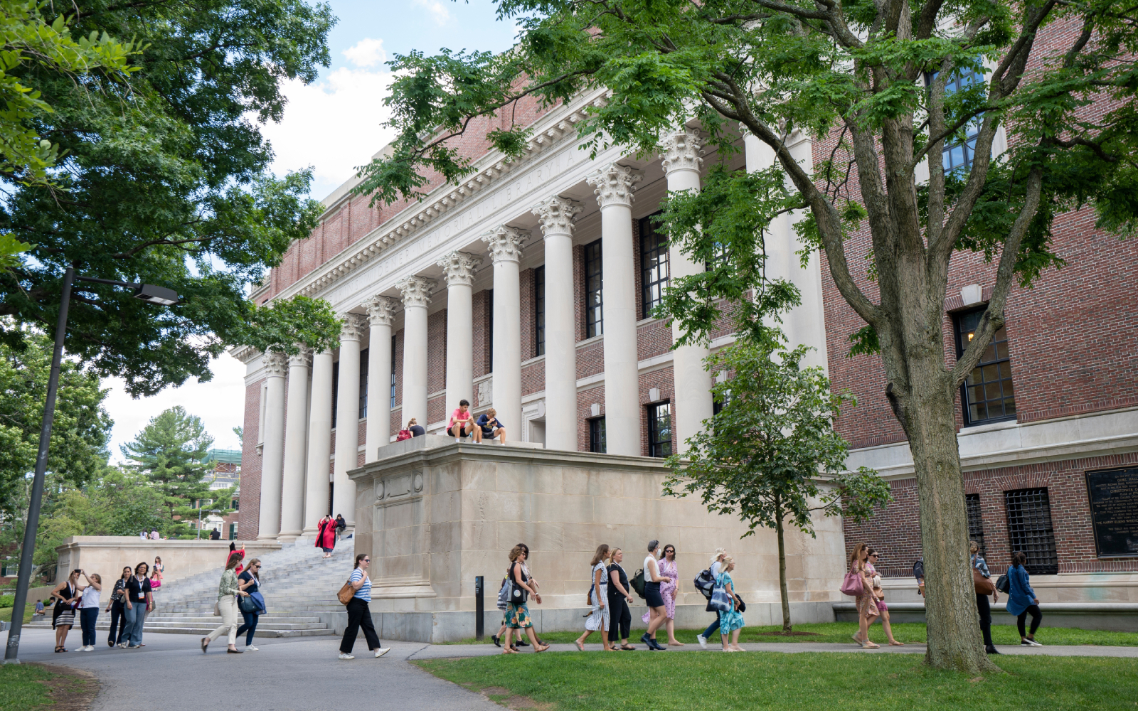 Capellán de Harvard: 80 personas buscan ingresar a la Iglesia Católica, un récord histórico