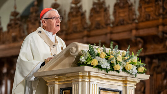 Cardenal pide a obispos de Perú recuperar el espíritu misionero de Santo Toribio: “¿Cuánto tengo de su ejemplo?”