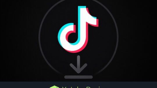 Cómo descargar vídeos de TikTok en móvil y ordenador con y sin marca de agua