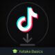 Cómo descargar vídeos de TikTok en móvil y ordenador con y sin marca de agua