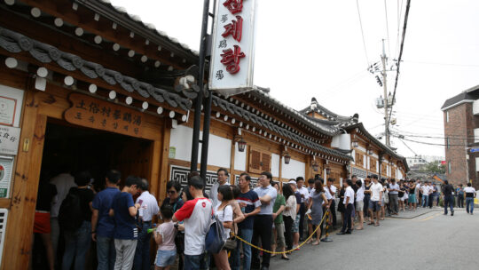 Corea del Sur ha tomado una decisión histórica: este será el último verano comiendo perro para combatir el calor