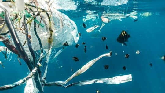 Creíamos que bolsas y pajitas eran el culpable de la contaminación oceánica. Pero lo que llena el gran vertedero del Pacífico es muy diferente