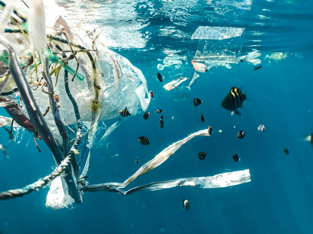 Creíamos que bolsas y pajitas eran el culpable de la contaminación oceánica. Pero lo que llena el gran vertedero del Pacífico es muy diferente