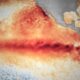 Ecuador activa alerta roja para enfrentar El Niño