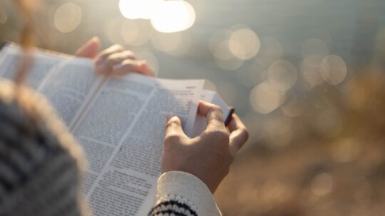 Especialistas en Biblia se reúnen en Chile para reflexionar sobre “la Palabra en salida”