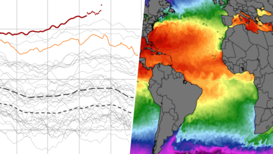 Los expertos empiezan a ponerse nerviosos: "Es probable que hayamos registrado la temperatura más alta del mar desde hace 125.000 años"