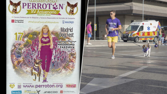 Madrid tiene, cómo no, el maratón de perros más grande de Europa