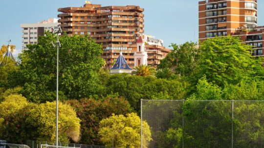 No basta con llenar las ciudades de árboles para frenar el calor: la ciencia ya sabe cuáles enfrían más y cómo debemos colocarlos