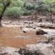 Un muerto y 15 desaparecidos tras inundaciones en el Gran Cañón