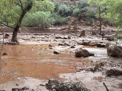 Un muerto y 15 desaparecidos tras inundaciones en el Gran Cañón