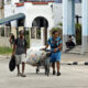 Cuba crea las bases para la entrada del mercado