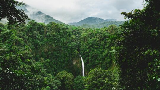 En 1987, Costa Rica había perdido la mitad de su bosque. Hoy es el ejemplo mundial en revertir la deforestación