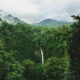 En 1987, Costa Rica había perdido la mitad de su bosque. Hoy es el ejemplo mundial en revertir la deforestación
