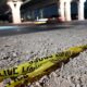 Habla abogada de migrante herido durante tiroteo de ICE en Austin