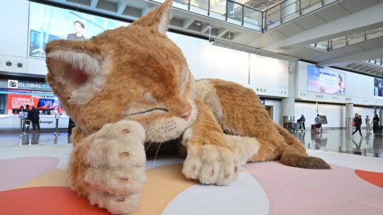 Hong Kong tiene algo que muchos aeropuertos querrían para sí. No es una nueva terminal: es un gato gigante interactivo