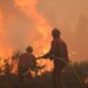Incendios arrasaron 98,000 hectáreas en Francia, récord desde 1976