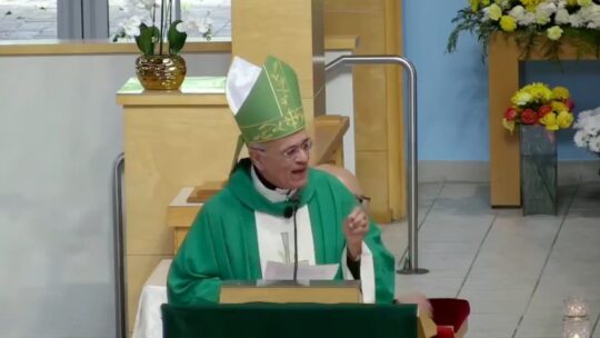 Mons. Báez: “La misericordia de Dios no es excusa para la impunidad”