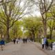 Mujer asesinada en Central Park tras ser golpeada en la cabeza