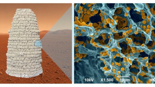 Necesitamos construir casas en Marte sin llevar ladrillos desde la Tierra: la solución que proponen unos científicos es gelatina y levadura