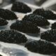 "¿Qué sentido tiene barato?": los precios del caviar se están desplomando y la industria ha entrado en crisis existencial