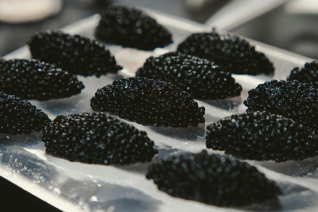 «¿Qué sentido tiene barato?»: los precios del caviar se están desplomando y la industria ha entrado en crisis existencial