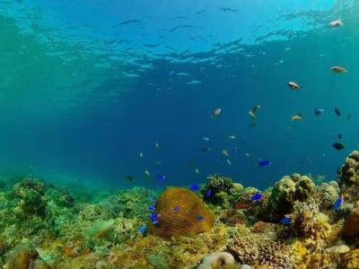 COP17 sobre biodiversidad en Armenia evalúa compromisos