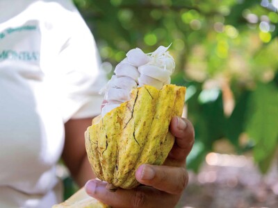 Cacao dominicano amplía su oferta de productos