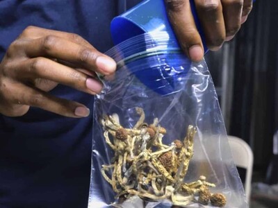 Carabinieri alertan sobre gentrificación del cannabis en Italia