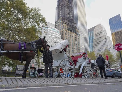 Carruajes de Central Park: 150 años de historia con fin en Nueva York
