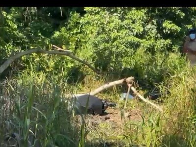 Cuerpo enterrado encontrado en Nagua de joven desaparecido hace 16 días