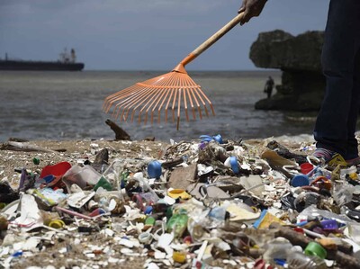 Economía circular y pérdidas económicas globales