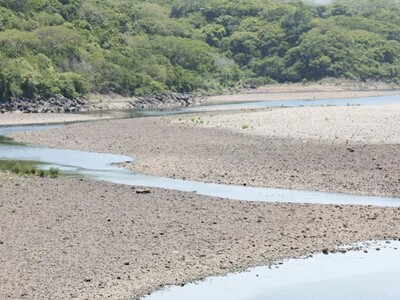 El Niño se intensificará hasta alcanzar su máximo en diciembre